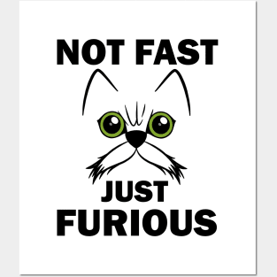 not fast just furious Posters and Art